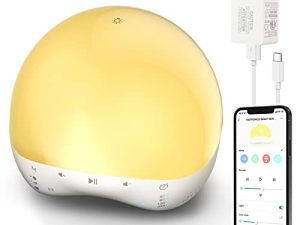 Sound Machine Baby Portable Night Light White Noise Portable Lamp APP & Voice Control 25 Soothing Sounds Sleep Achine RGB Color Changing Timer Noise Machine Baby/Adults White