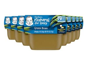 Gerber 1st Foods Baby Food